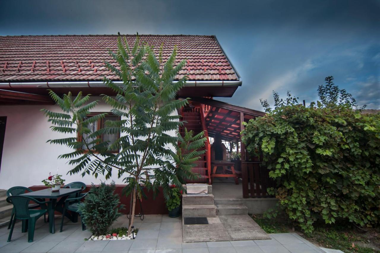 Dobra Haz Hotel Kovászna Kültér fotó
